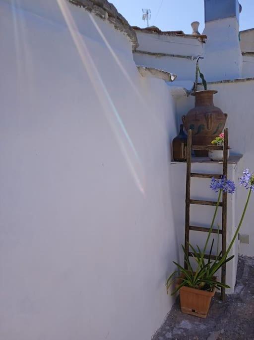 Gasphouse Villa Castellana Grotte Dış mekan fotoğraf