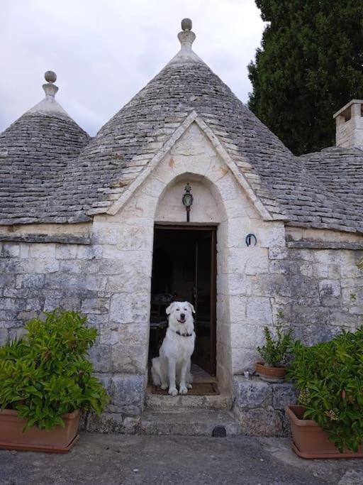 Gasphouse Villa Castellana Grotte Dış mekan fotoğraf