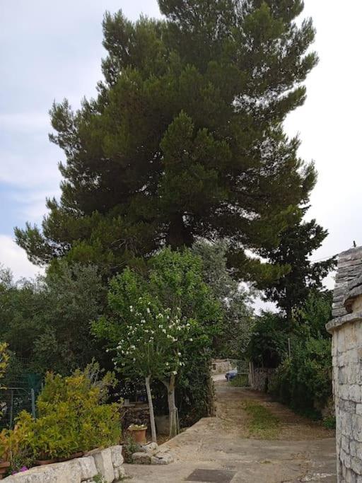 Gasphouse Villa Castellana Grotte Dış mekan fotoğraf
