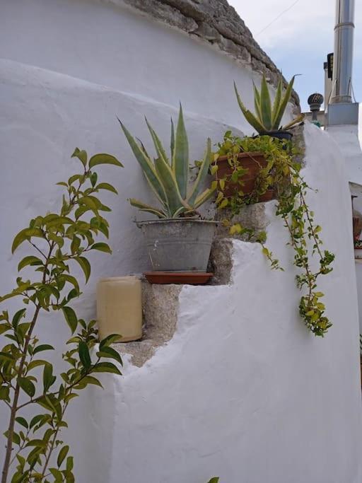 Gasphouse Villa Castellana Grotte Dış mekan fotoğraf
